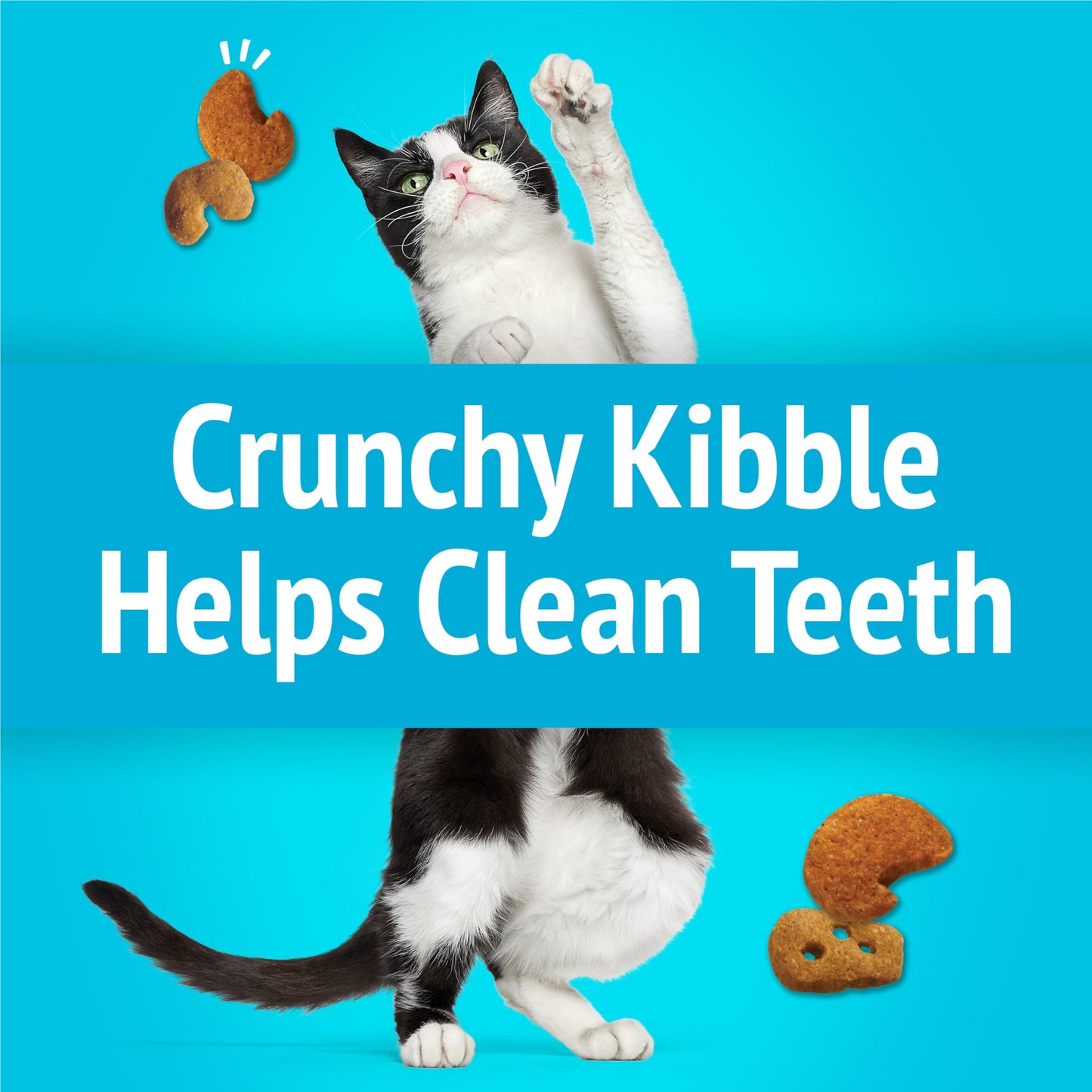 Purina Friskies Cat Treats, Party Mix Lobster & Mac 'N' Cheese Flavors - (Pack of 6) 6 oz. Pouches