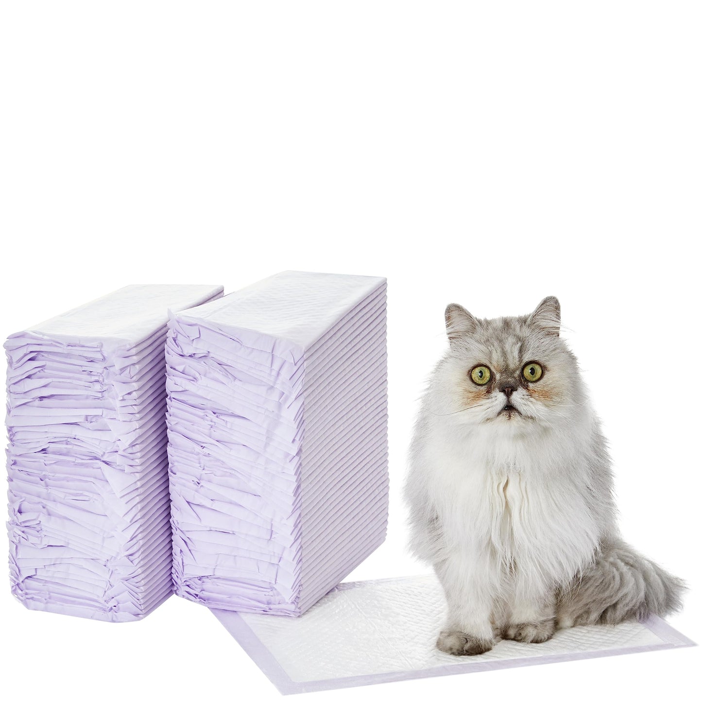 Amazon Basics Cat Pee Pads, 80 Count, Universal Fit for Litter Box, Odor Control with Lemon Scent, White/Purple