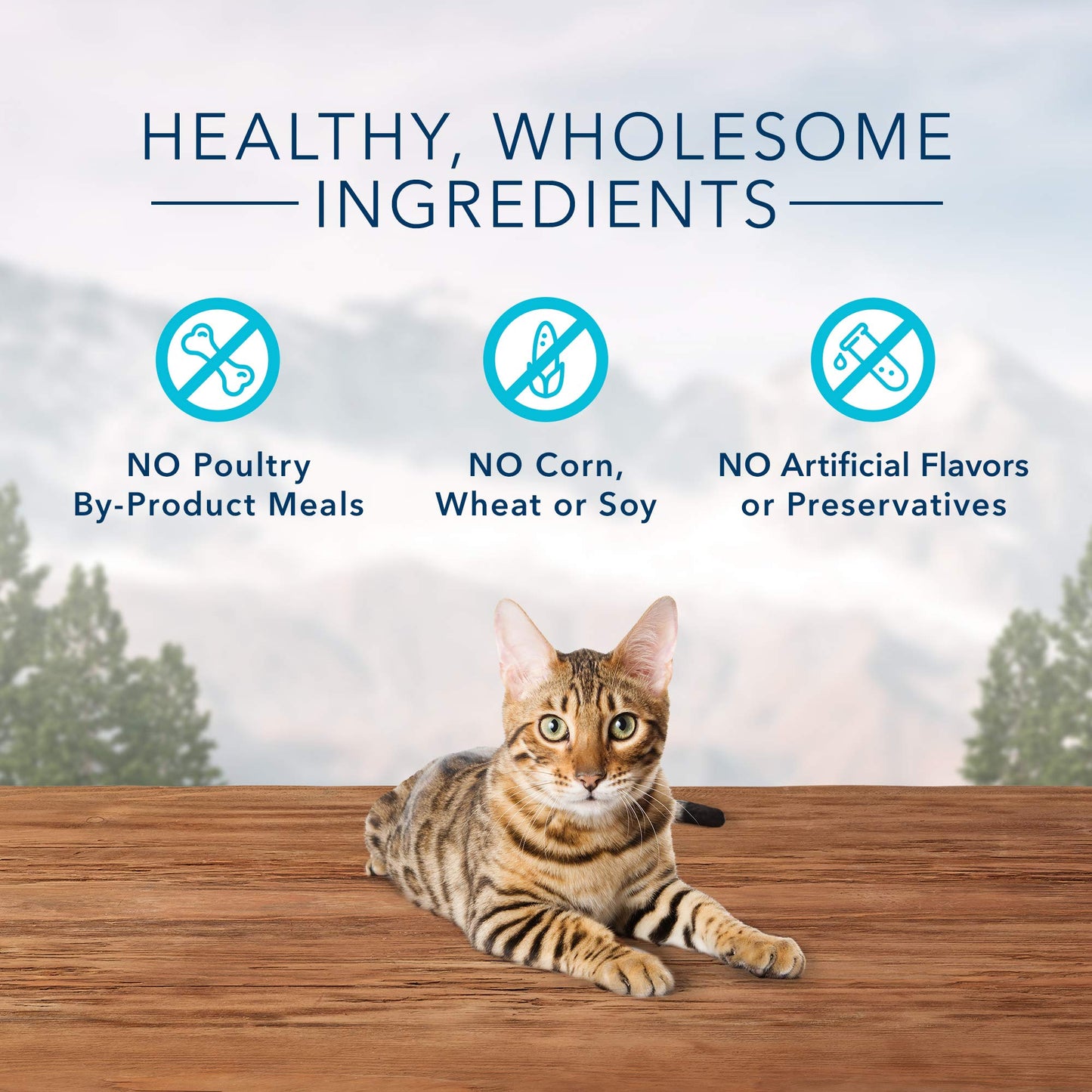 Blue Buffalo Wilderness High Protein Crunchy Cat Treats, Made With Natural Ingredients, Tasty Chicken, 2-oz Bag (Pack of 12)