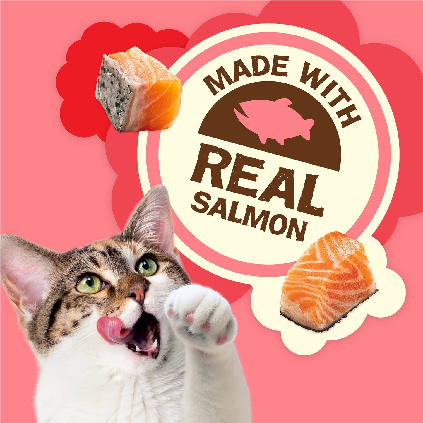 Purina Friskies Natural Cat Treats Party Mix Natural Yums With Real Salmon and Added Vitamins, Minerals and Nutrients - 20 Oz. Canister