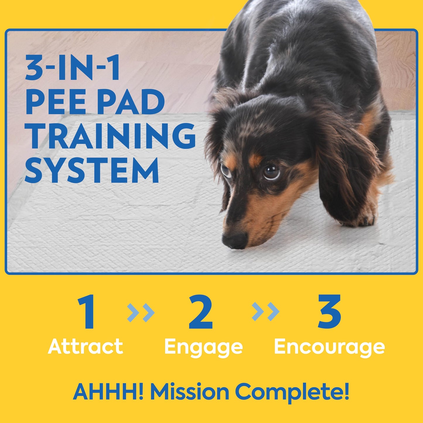 OUT! Petcare XXL Puppy Pads, Heavy Duty, Dog Training, Pee Pads for Dogs, Puppy Essentials, Leak Proof, Potty Training, Housebreaking Supplies (26"x30", 30 Count)