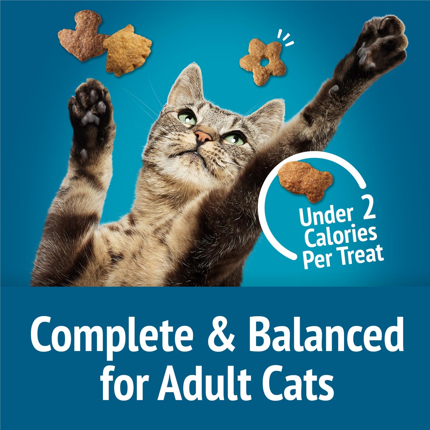 Purina Friskies Cat Treats, Party Mix Seafood Lovers Crunch - (Pack of 6) 6 oz. Pouches