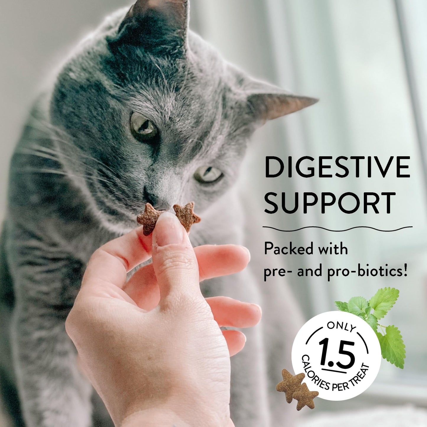 Shameless Pets Celebration Birthday Crunchy Cat Treats Chicken and Catnip Treats with Digestive Support