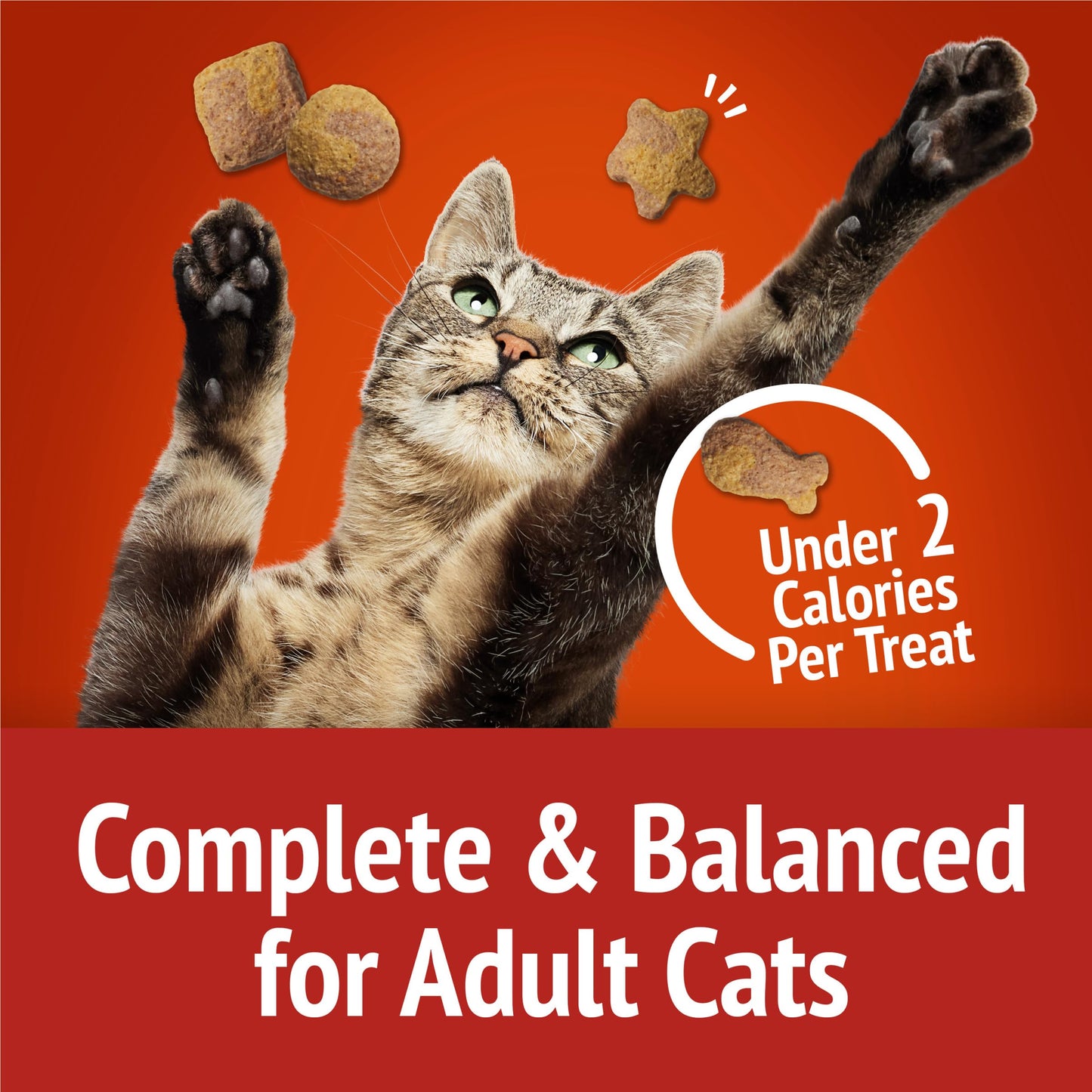 Purina Friskies Cat Treats, Party Mix Gravy-licious Crunch Chicken and Gravy Flavors - (Pack of 6) 6 oz. Pouches