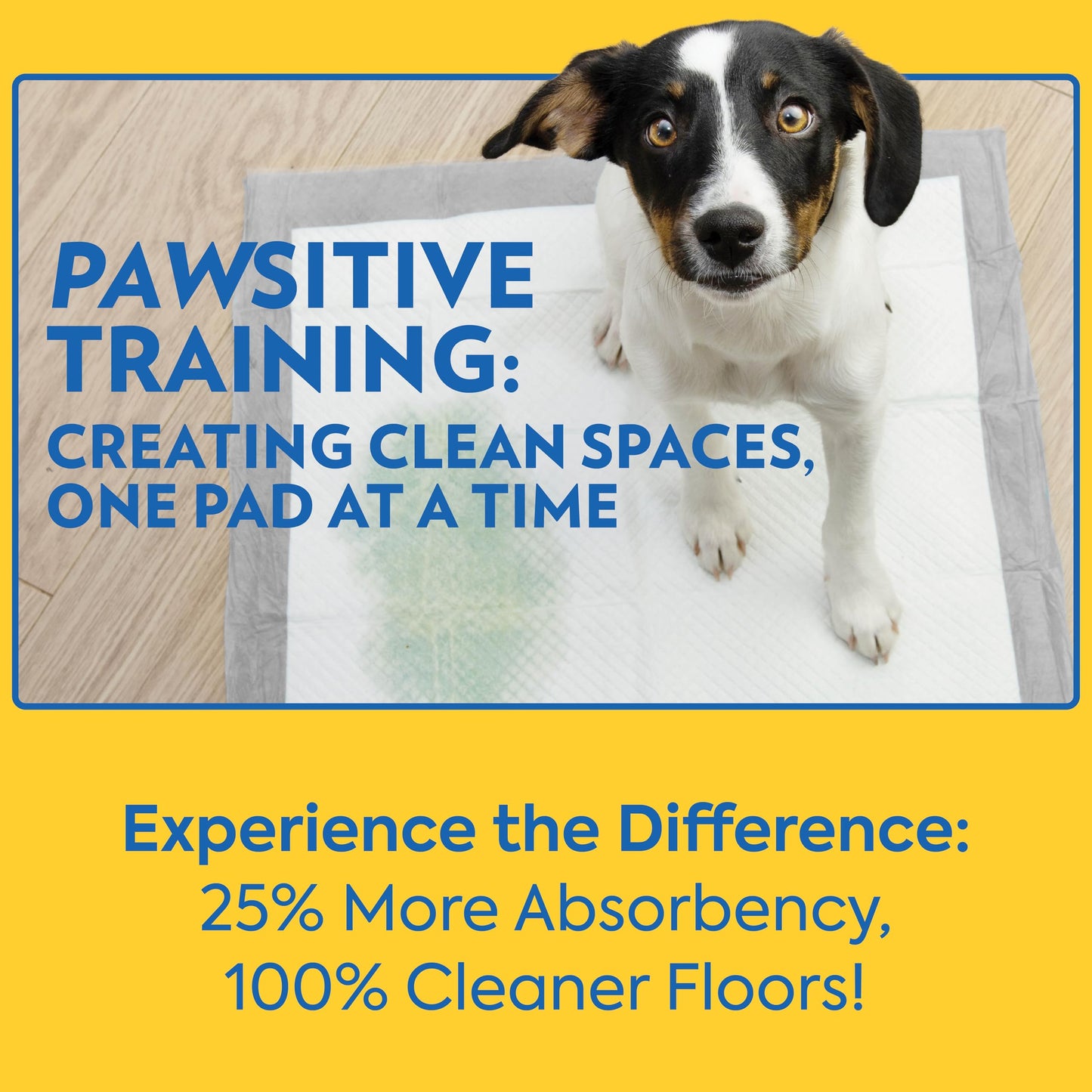 OUT! Petcare XXL Puppy Pads, Heavy Duty, Dog Training, Pee Pads for Dogs, Puppy Essentials, Leak Proof, Potty Training, Housebreaking Supplies (26"x30", 30 Count)