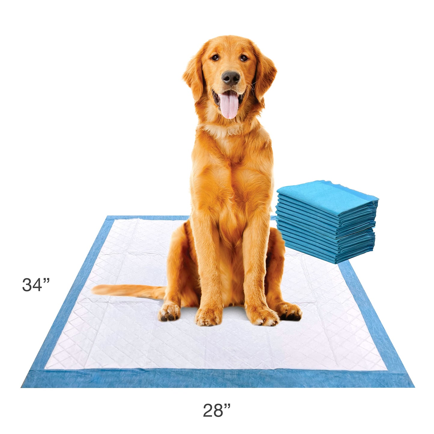 Four Paws Wee-Wee Superior Performance Unscented Extra-Large Pee Pads for Dogs & Puppies, Quilted Leak-Proof Dog Housebreaking Potty Training Floor Protection, 28" x 34", 14 Count