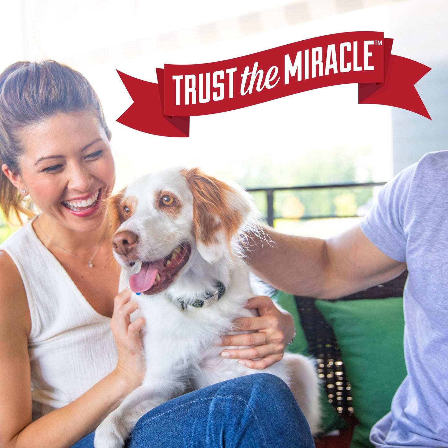 Nature's Miracle Nature’s Miracle Advanced Stain And Odor Eliminating Wipes for Hard Surfaces 30 Count, Enzymatic Formula Eliminates Tough Pet Messes