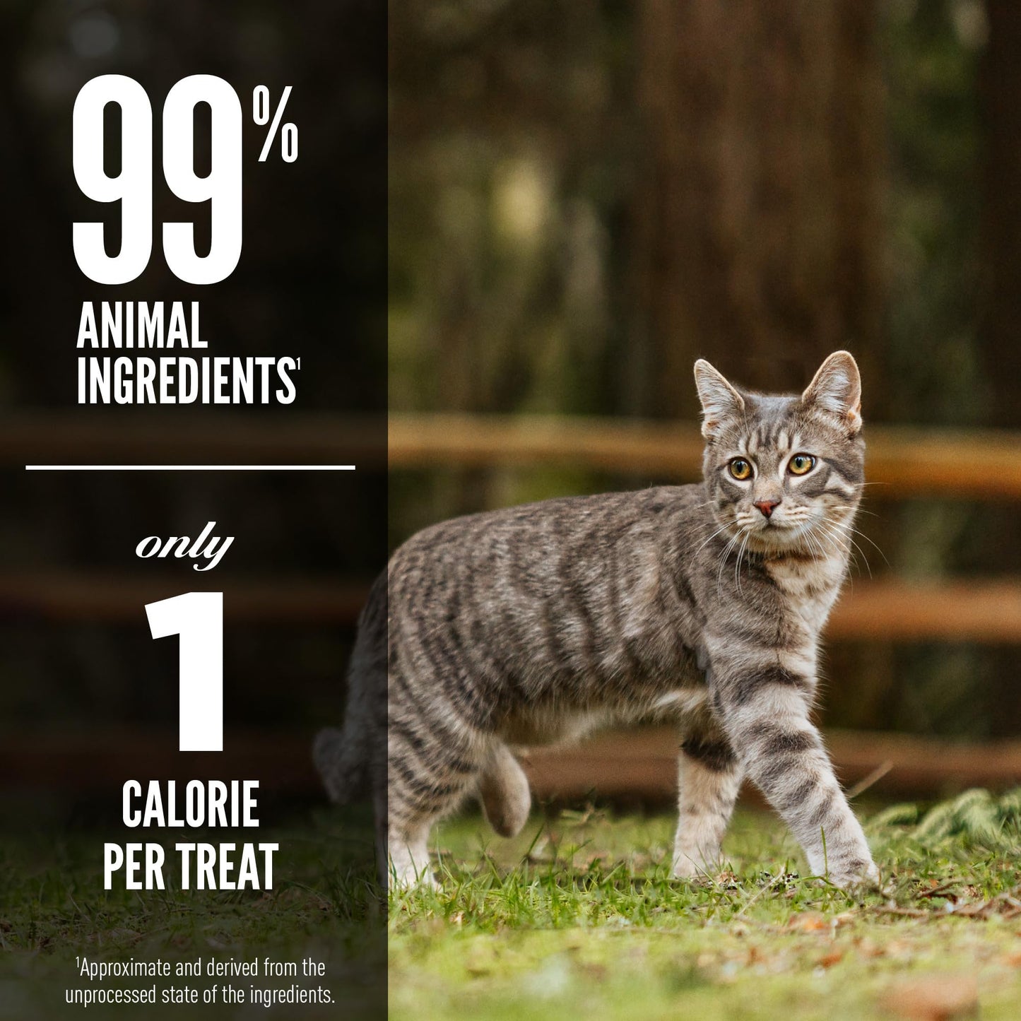 ORIJEN Regional RED Freeze Dried Cat Treats, Grain Free Treats for Cats, WholePrey Ingredients, 1.25oz