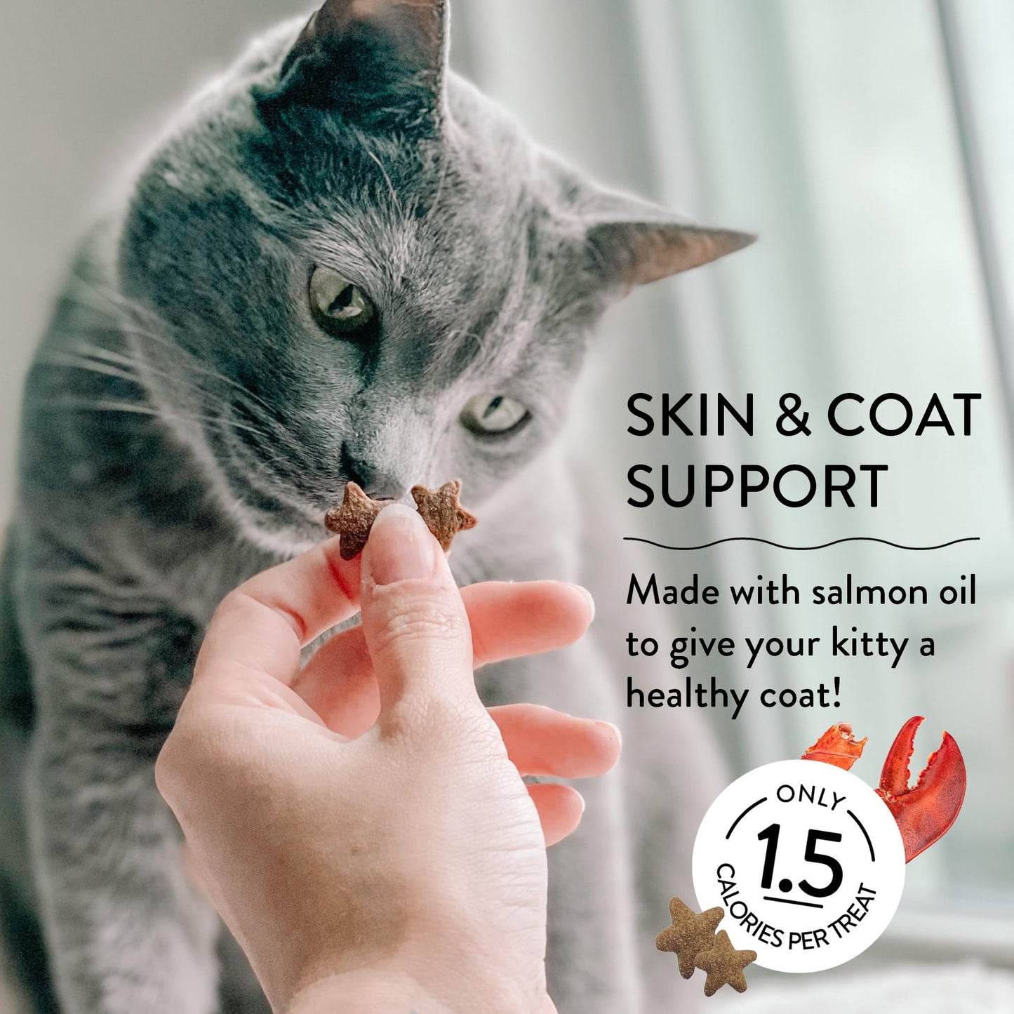 Shameless Pets Crunchy Cat Treats - Kitty Treats for Cats with Digestive Support, Natural Ingredients Kitten Treats with Real Tuna, Healthy Flavored Feline Snacks - Lobster & Cheese, 1-Pk