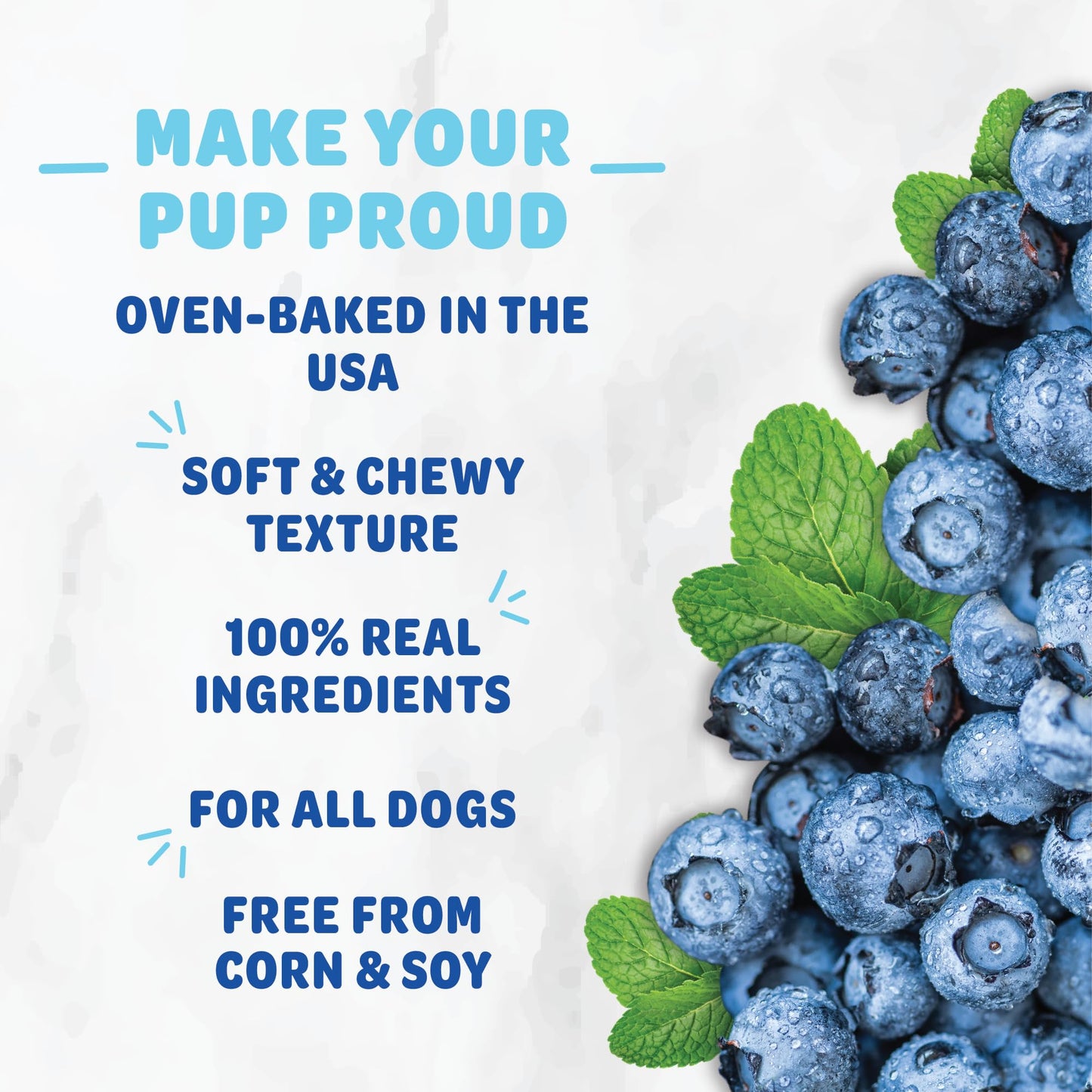 SHAMELESS PETS Soft-Baked Dog Treats, 6oz (Variety Pack, 5-Pk) | Clean, Natural, Grain-Free Dog Biscuits | Promotes Wellness in All Dogs | Made w/Upcycled Ingredients in USA
