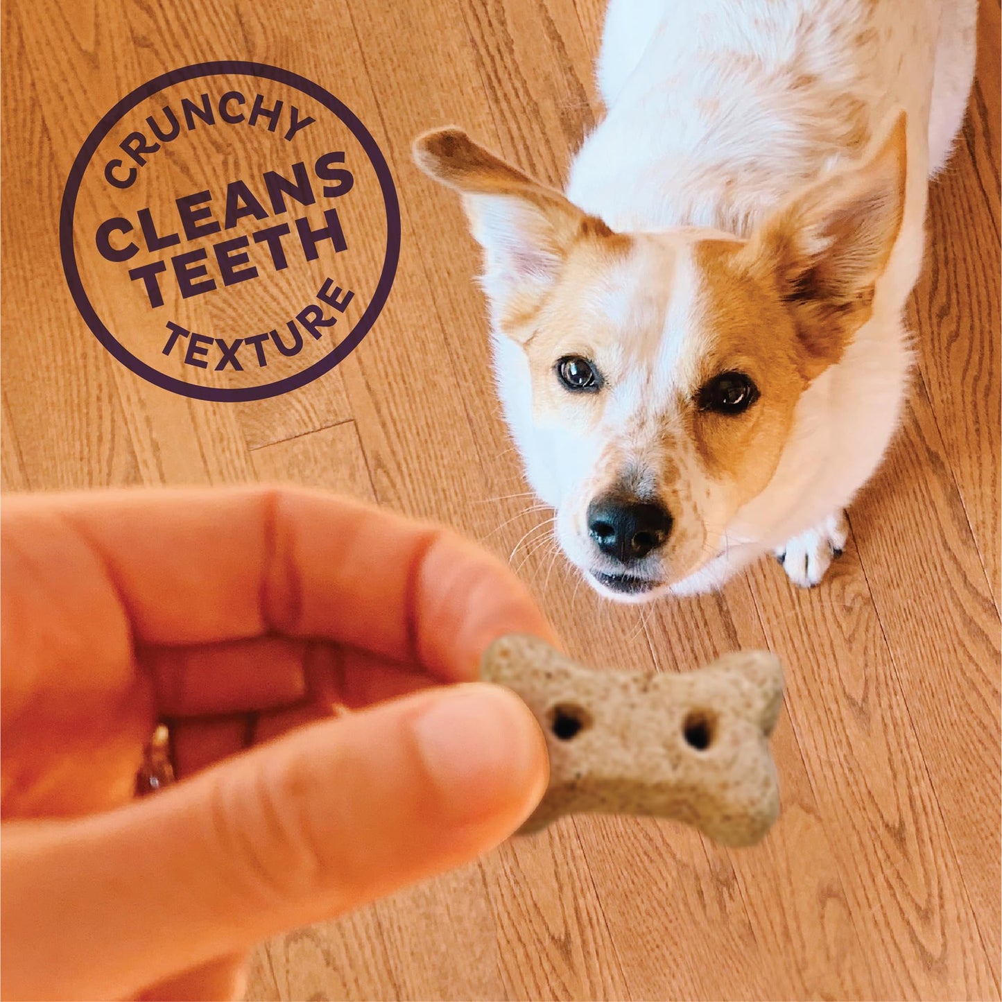 Mini Liv'R'Crunch®