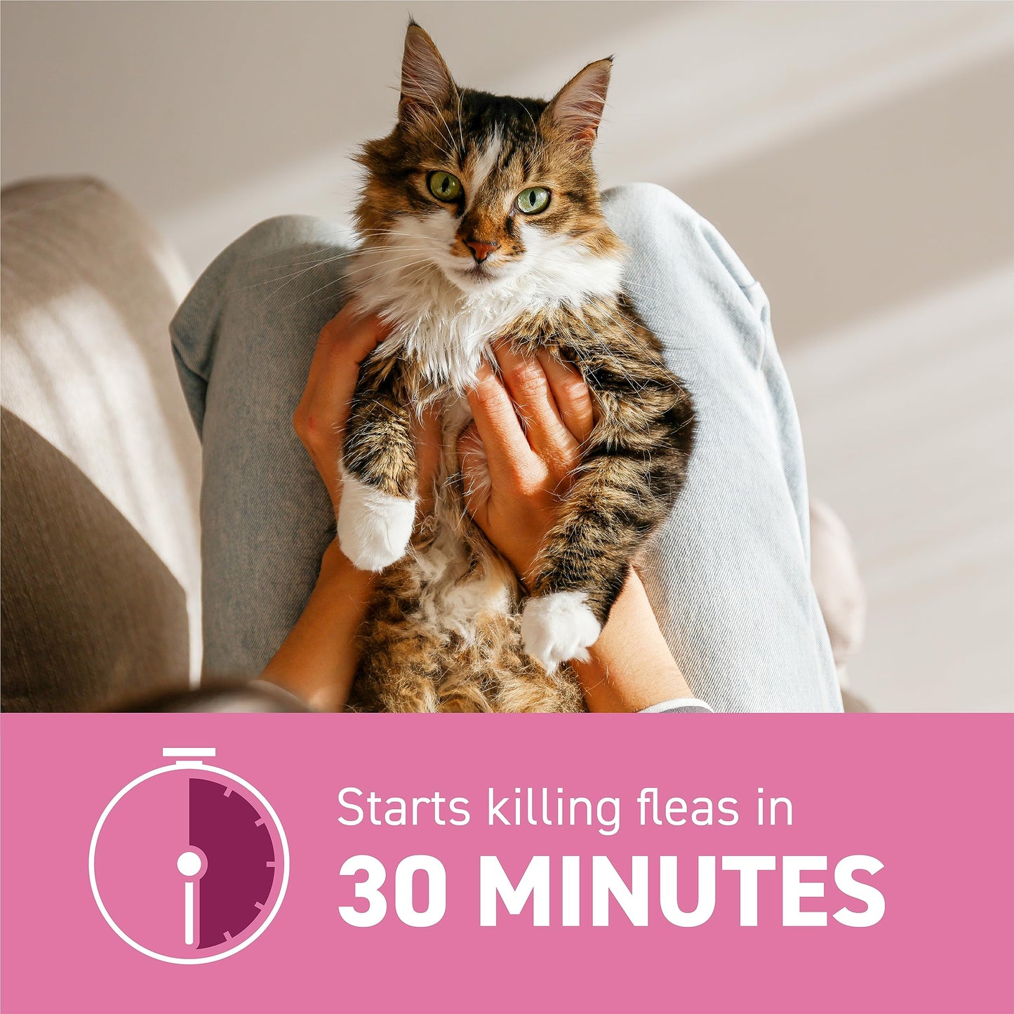 Capstar (nitenpyram) for Cats, Fast-Acting Oral Flea Treatment for Dogs 2-25 lbs, Vet-Recommended Flea Medication Tablets Start Killing Fleas in 30 Minutes, 12 Doses