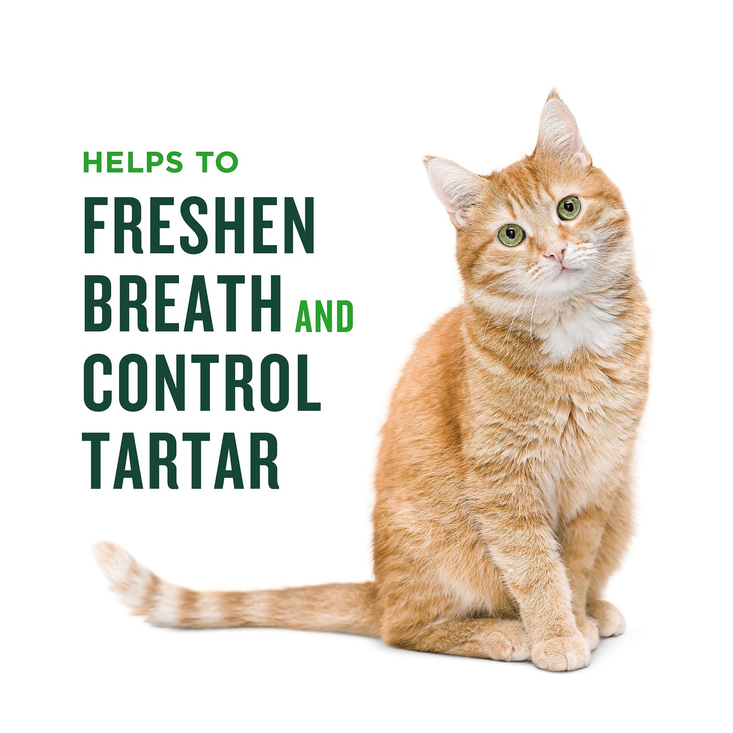 Minties Dental Treats for Cats, Chicken Flavored Treats for Cats, Freshens Breath and Controls Tartar, 2.5oz