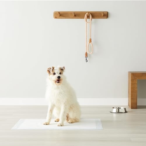 Amazon Basics Dog and Puppy Pee Pads with 5-Layer Leak-Proof Design and Quick-Dry Surface for Potty Training, Standard Absorbency, X-Large, 28 x 34 Inch - Pack of 60, Blue & White - topratednest