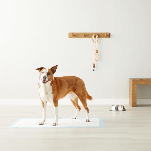 Amazon Basics Absorbent Dog and Puppy Pee Pads with 5-Layer Leak-Proof Design and Quick-Dry Surface for Potty Training, Heavy Duty Absorbency, Giant, 27.5 x 44 Inch - Pack of 30, Blue & White - topratednest