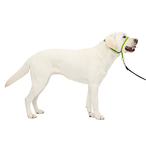 PetSafe Gentle Leader No-Pull Dog Headcollar - The Ultimate Solution to Pulling - Redirects Your Dog's Pulling for Easier Walks - Helps You Regain Control - Large, Apple Green