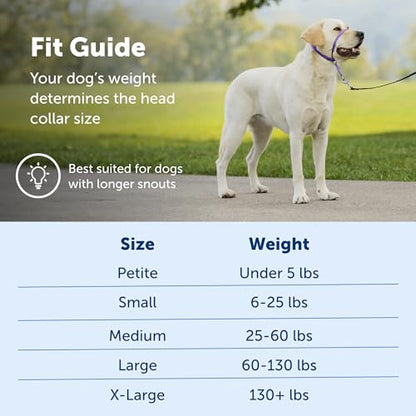PetSafe Gentle Leader No-Pull Dog Headcollar - The Ultimate Solution to Pulling - Redirects Your Dog's Pulling for Easier Walks - Helps You Regain Control - Large, Apple Green