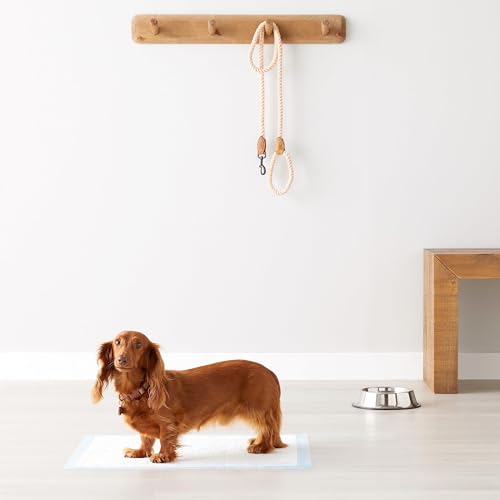 Amazon Basics Dog and Puppy Pee Pads with 5-Layer Leak-Proof Design and Quick-Dry Surface for Potty Training, Heavy Duty Absorbency, Regular, 24 x 23 Inch, Regular (80 Count), Blue & White - topratednest