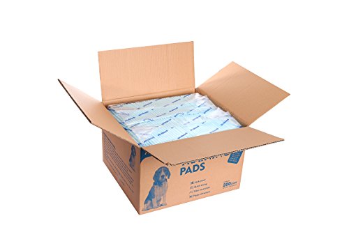 HONEY CARE All-Absorb A07 Bulk Packaging Training Pads, Blue, Large - 22" x 23" 200ct
