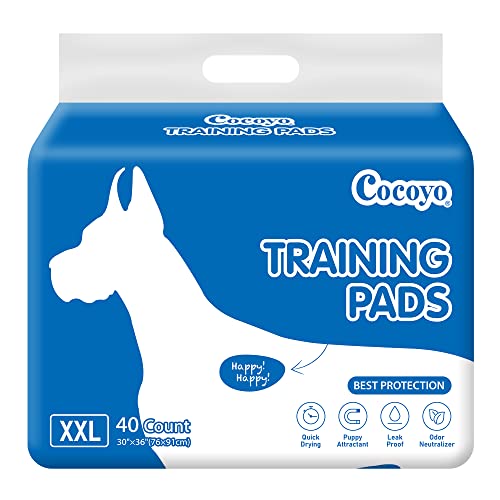 COCOYO Best Value Training Pads, 30"X36" , XXL - 80 Count,White