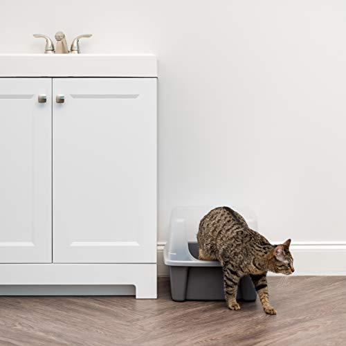 IRIS USA Large Cat Litter Box with Scatter Shield and Scoop, Open Top High Sided Cat Litter Pan, Gray/Clear