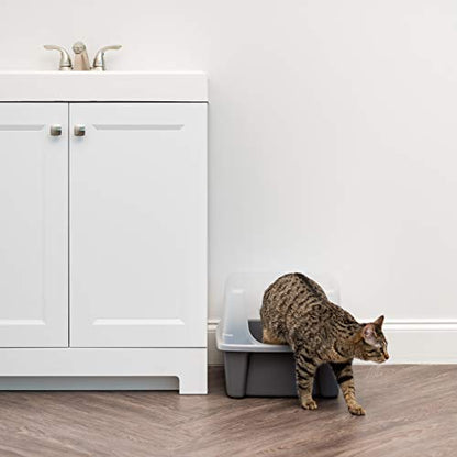 IRIS USA Large Cat Litter Box with Scatter Shield and Scoop, Open Top High Sided Cat Litter Pan, Gray/Clear
