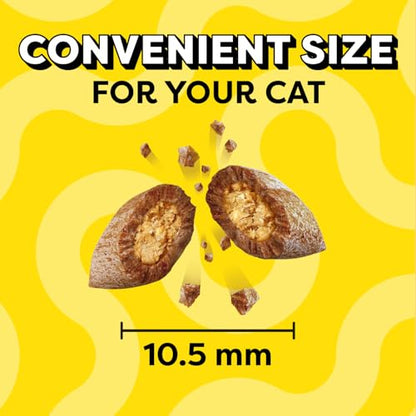 Temptations Classic Crunchy and Soft Cat Treats Savory Salmon Flavor, 3 oz. Pouch (Pack of 12)
