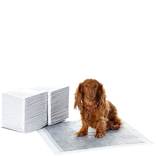 Amazon Basics Dog Training Pads - Carbon Odor Control (Regular, 80 Pack)