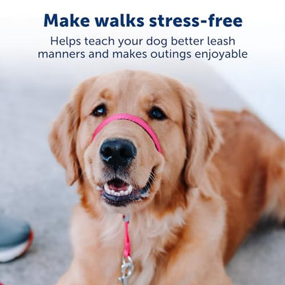 PetSafe Gentle Leader No-Pull Dog Headcollar - The Ultimate Solution to Pulling - Redirects Your Dog's Pulling for Easier Walks - Helps You Regain Control - Large, Apple Green