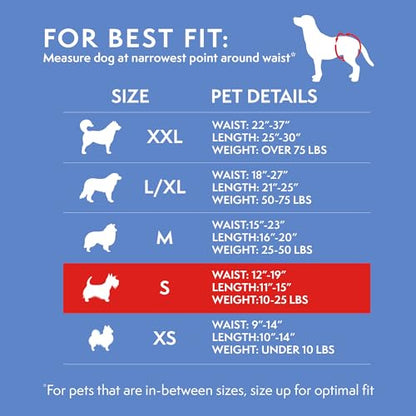 Simple Solution Disposable Dog Diapers for Female Dogs, True Fit, Absorbent, Leak Proof with Wetness Indicator, Puppy & Doggie Period Pad and Pee Diaper, For Small Pets, 12–19-Inch Waist, 30 Count
