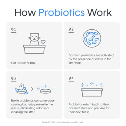 Boxie® Probiotic 40 Day Natural Odor Control Cat Litter, 28lb Clumping Clay Kitty Litter