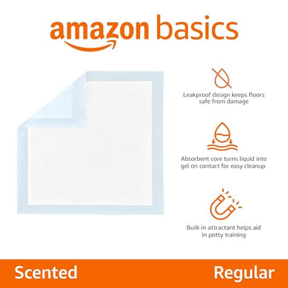 Amazon Basics Scented Puppy Pads (50 Ct, Regular 22x22) - Odor Control, 5-Layer Leak-Proof, Quick-Dry Training Pads