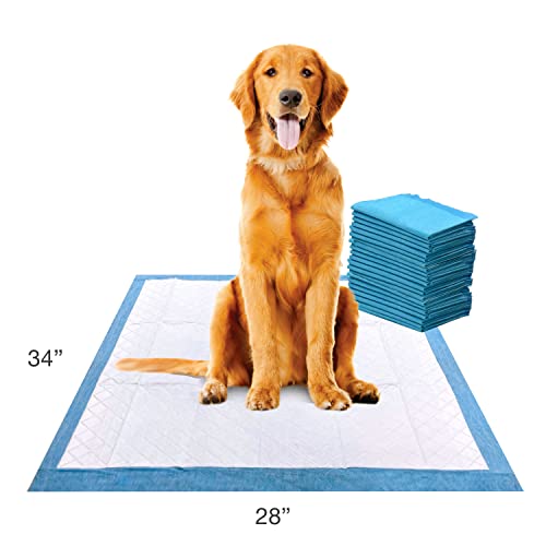 Four Paws Wee-Wee Superior Performance XL Pee Pads for Extra Large Dogs, Leak-Proof Floor Protection Dog & Puppy Quilted Potty Training Pads, Unscented, 28" x 34" (42 Count)