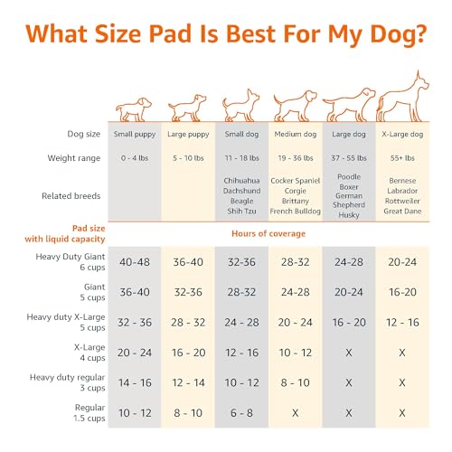 Amazon Basics Regular Scented Pee Pads (150 Ct, 22x22) - 5-Layer Leak-Proof, Quick-Dry Surface for Dog/Puppy Training