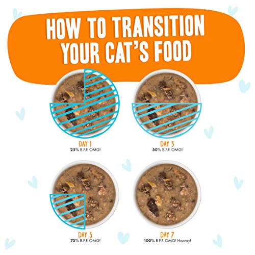 Weruva B.F.F. OMG - Best Feline Friend Oh My Gravy!, Purr-FECT Plannin'! with Chicken, Turkey & Salmon in Gravy Cat Food, 2.8oz Pouch (Pack of 12)