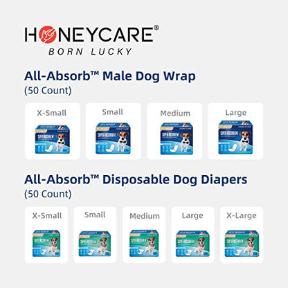 HONEY CARE All-Absorb A07 Bulk Packaging Training Pads, Blue, Large - 22" x 23" 200ct