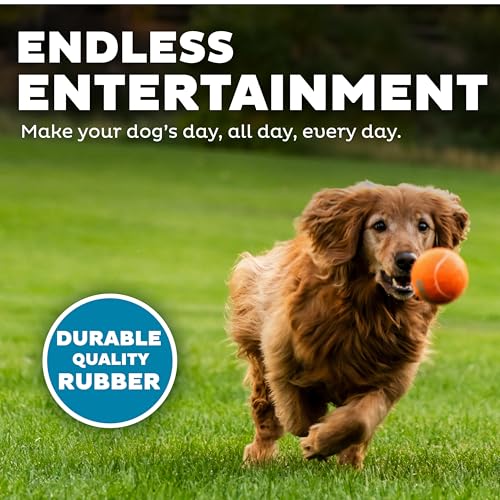 Outward Hound Squeaker Ballz Fetch Dog Toy, Large, 4-Pack for All Breed Sizes