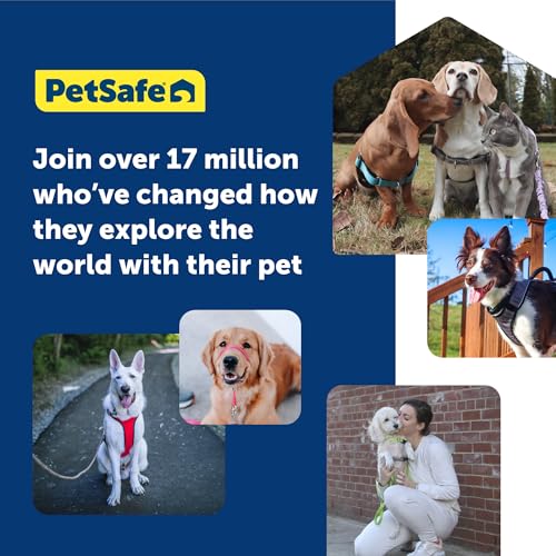 PetSafe Gentle Leader No-Pull Dog Headcollar - The Ultimate Solution to Pulling - Redirects Your Dog's Pulling for Easier Walks - Helps You Regain Control - Large, Apple Green