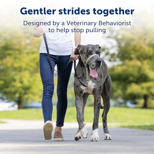 PetSafe Gentle Leader No-Pull Dog Headcollar - The Ultimate Solution to Pulling - Redirects Your Dog's Pulling for Easier Walks - Helps You Regain Control - Large, Apple Green