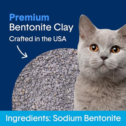 Boxie® Unscented 30 Day Natural Odor Control Cat Litter, 16lb Clumping Clay Kitty Litter