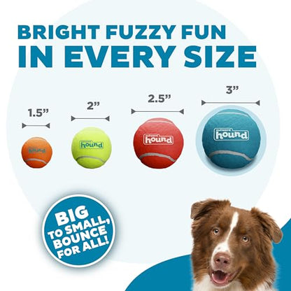 Outward Hound Squeaker Ballz Fetch Dog Toy, Large, 4-Pack for All Breed Sizes