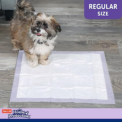 Hartz Home Protection Lavender Scented Dog Pads, 50 count, Super Absorbent & Won't Leak, Odor Eliminating