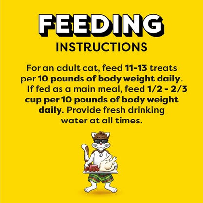 Temptations MixUps Backyard Cookout Flavor Crunchy and Soft Cat Treats, 16 oz. Tub