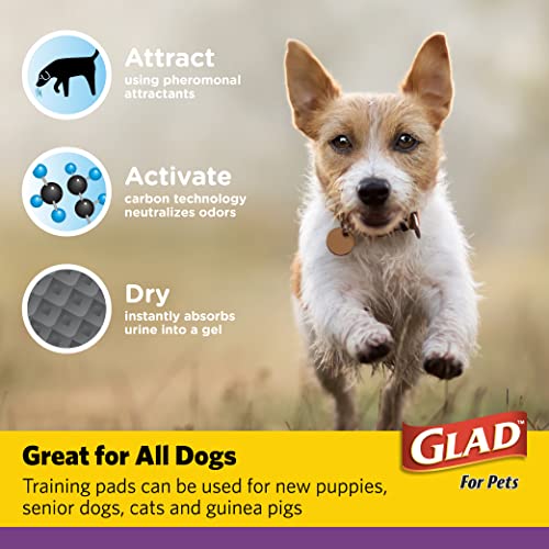 Glad for Pets JUMBO-SIZE Charcoal Puppy Pads, All-in-One | Black Training Pads That ABSORB & Neutralize Urine Instantly | New & Improved Quality Puppy Pee Pads, 30 Count - 6 Pack