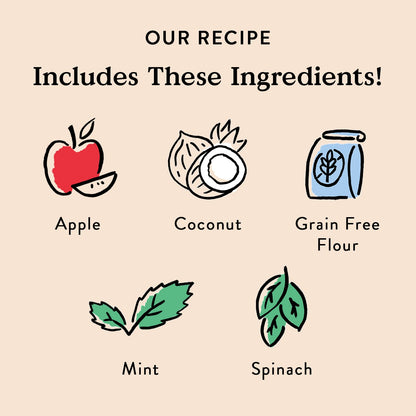 Bocce’s Bakery Dailies Brushy Sticks to Support Oral Health & Fresh Breath, Wheat-Free Dental Bars for Dogs, Made with Real Ingredients, Baked in the USA, All-Natural Coconut & Mint Recipe, Large Dogs