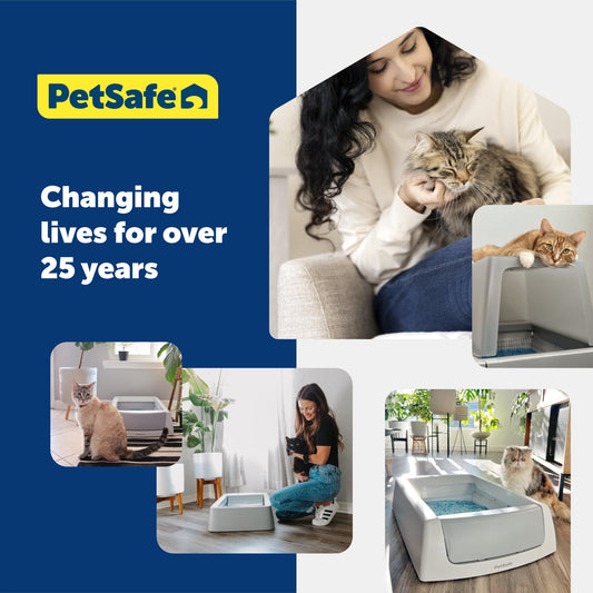 PetSafe ScoopFree Odor Control Crystal Cat Litter, Lavender Scent, 8 Lb Bag, Pack of 3