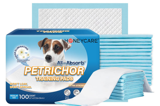 HONEY CARE All-Absorb, Large 22" x 23", 100 Count, Dog and Puppy Training Pads, Ultra Absorbent and Odor Eliminating, Leak-Proof 5-Layer Potty Training Pads with Quick-Dry Surface, Blue, A01