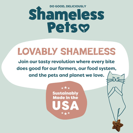 Shameless Pets Crunchy Cat Treats - Kitty Treats for Cats with Skin & Coat Support, Natural Ingredients Kitten Treats with Real Salmon, Healthy Flavored Feline Snacks - Yam Good Salmon, 3-Pk