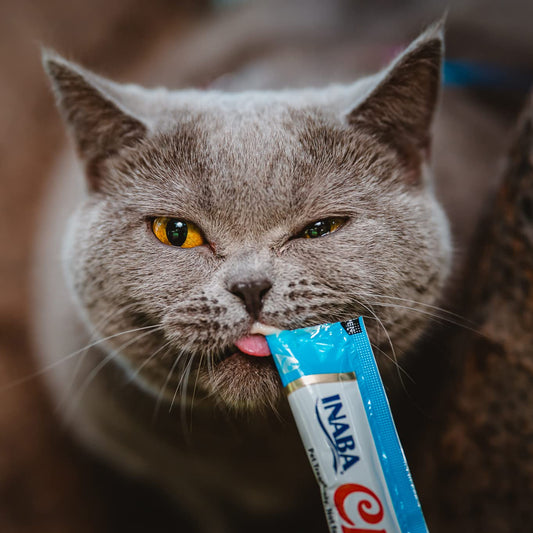 INABA Churu Tuna with Salmon Recipe Lickable Creamy Purée Cat Treats 24 Tubes