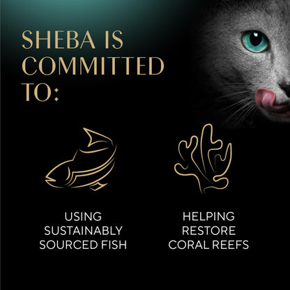 Sheba Meaty Tender Sticks Soft Cat Treats with Chicken, Tuna Flavor, and Salmon Flavor, 0.14 oz., 40 Count